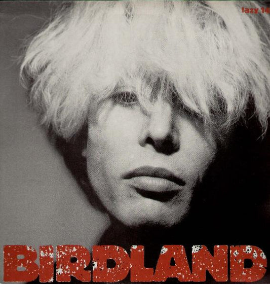 Birdland (2) - Paradise (12", Single)