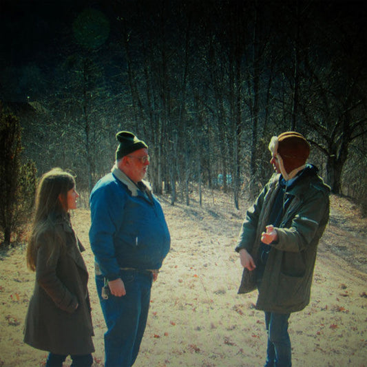 Dirty Projectors - Swing Lo Magellan (LP, Album)