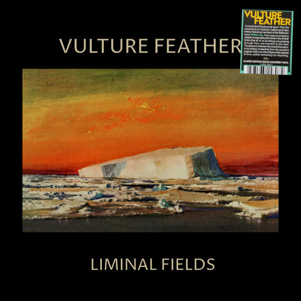 Vulture Feather - Liminal Fields (LP, Album, Ltd, Bon)