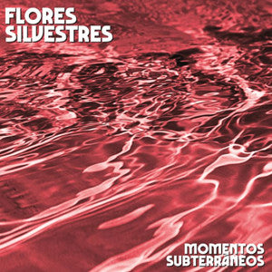 Flores Silvestres (2) - Momentos Subterraneos (LP, Album)