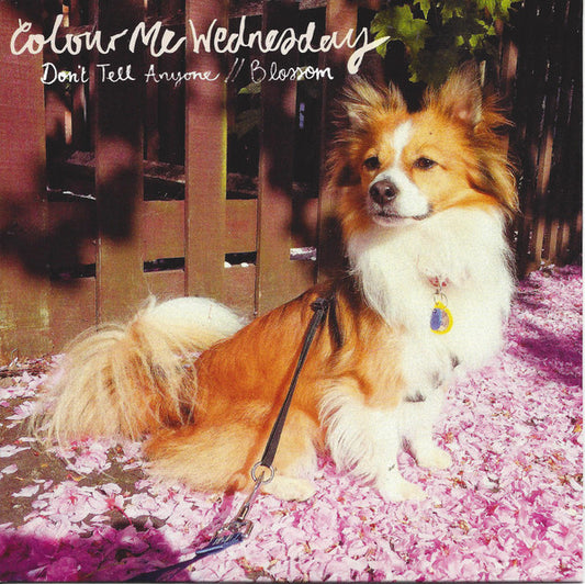 Colour Me Wednesday - Don't Tell Anyone / Blossom (7", Single, Ros)