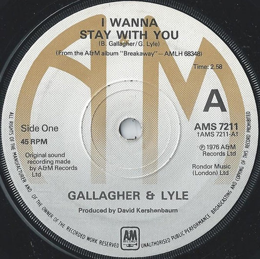 Gallagher & Lyle - I Wanna Stay With You (7", Single, Sol)