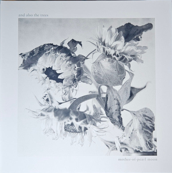 And Also The Trees - Mother-Of-Pearl Moon (LP, Album)