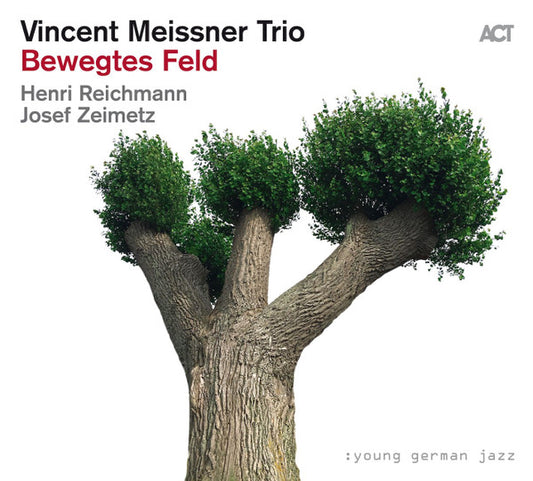 Vincent Meissner Trio - Bewegtes Feld (CD, Album)