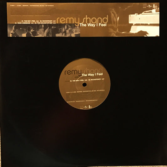 Remy Shand - The Way I Feel (Album Sampler) (12", Promo, Smplr)