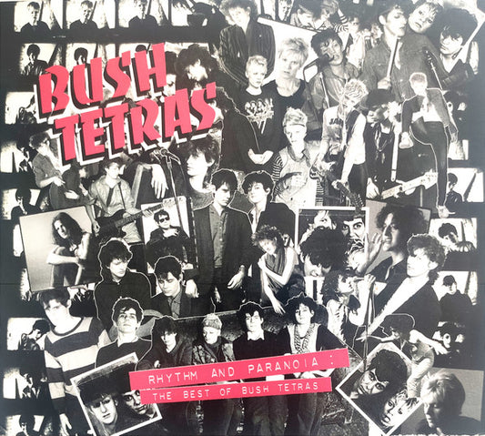 Bush Tetras - Rhythm And Paranoia: The Best Of Bush Tetras (2xCD, Comp, RM)