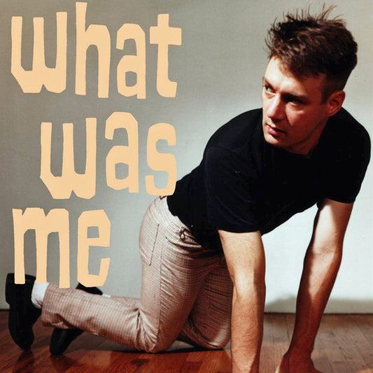 Calvin Johnson - What Was Me (LP, Album)