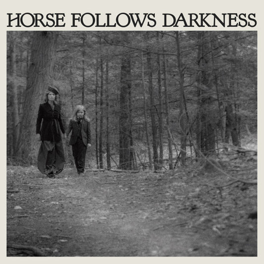 Delia Gonzalez - Horse Follows Darkness (LP, Album)