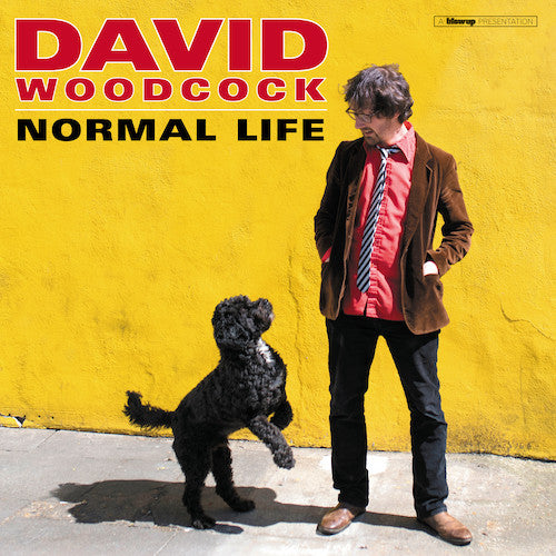 David Woodcock (3) - Normal Life (LP, Album)