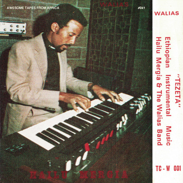 Hailu Mergia & The Walias Band* - Tezeta (LP, Album, RE)