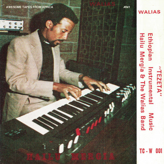 Hailu Mergia & The Walias Band* - Tezeta (LP, Album, RE)