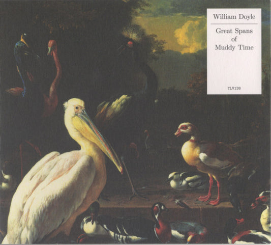 William Doyle - Great Spans Of Muddy Time (CD, Album)