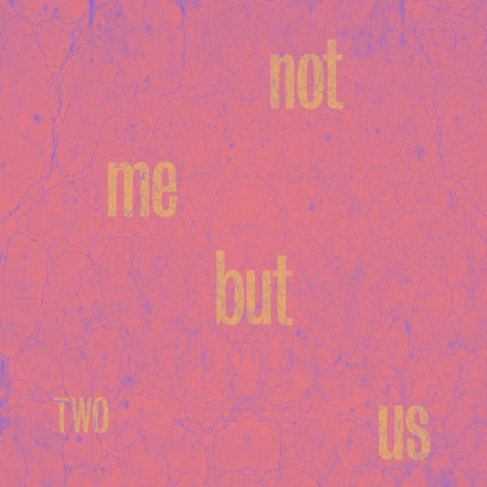 Not Me But Us - Two (LP, Album)