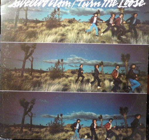 Sweetbottom - Turn Me Loose (LP, Album, SP )