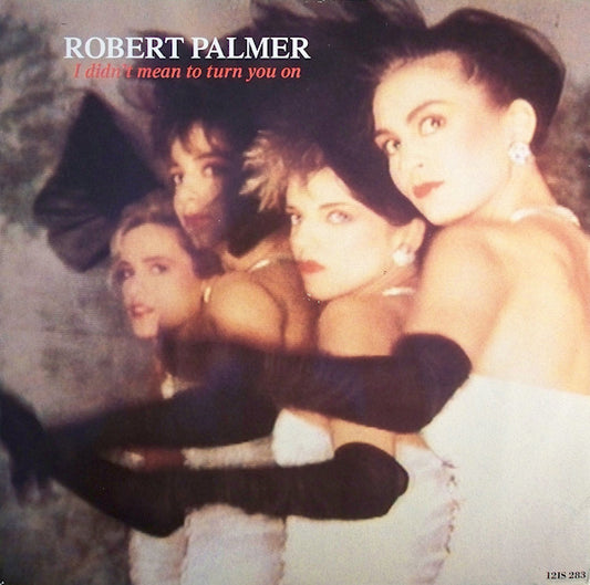 Robert Palmer - I Didn't Mean To Turn You On (12")