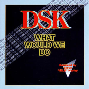 DSK - What Would We Do (12")