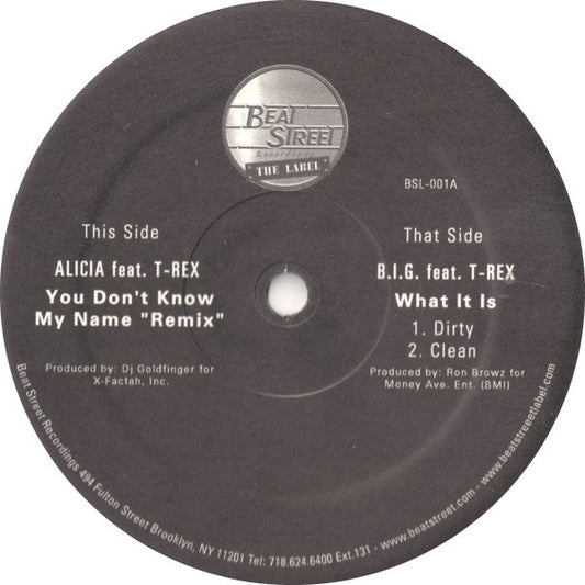 Alicia* Feat. T-Rex (4) / B.I.G.* Feat. T-Rex (4) - You Don't Know My Name "Remix" / What It Is (12", Single, Unofficial)