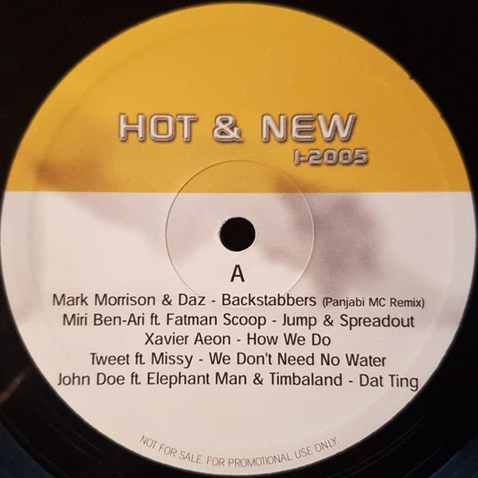 Various - Hot & New 1-2005 (LP, Comp, Promo)