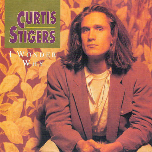 Curtis Stigers - I Wonder Why (7", Single, Inj)