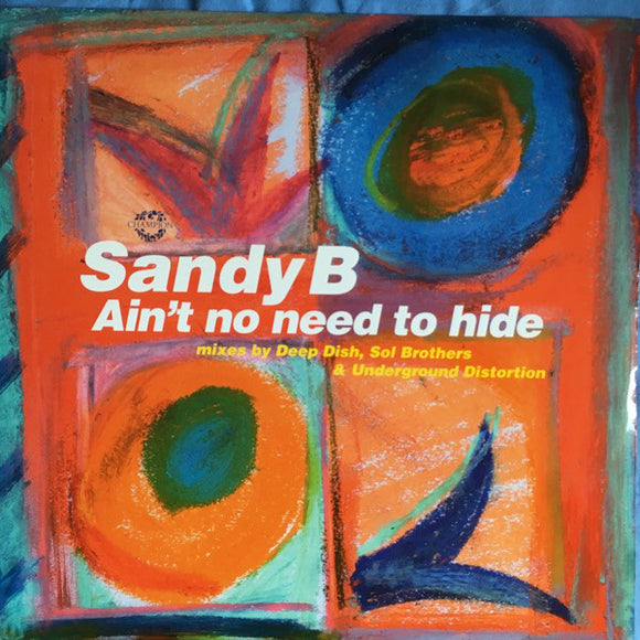 Sandy B - Ain't No Need To Hide (12