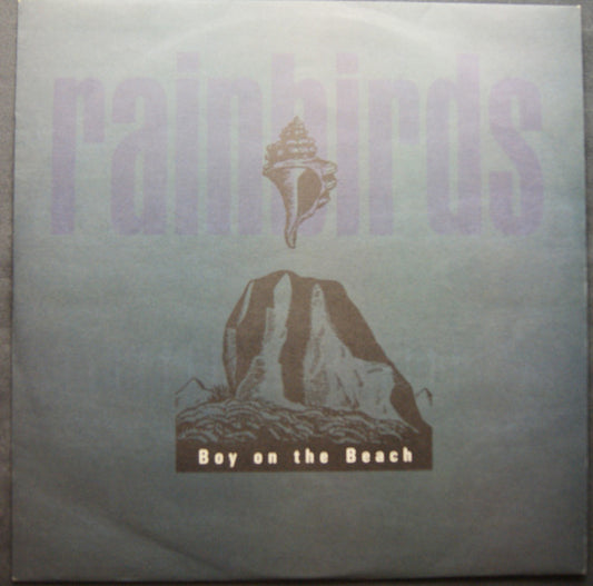 Rainbirds - Boy On The Beach (12", Single)