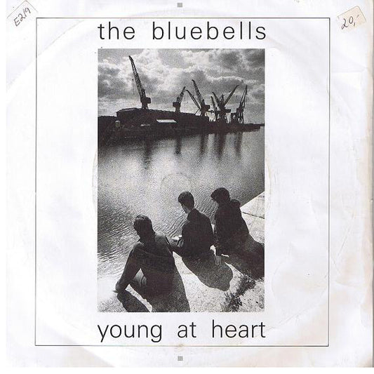 The Bluebells - Young At Heart (7", Single)