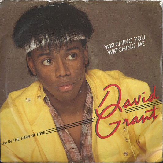 David Grant - Watching You, Watching Me (7", Single)