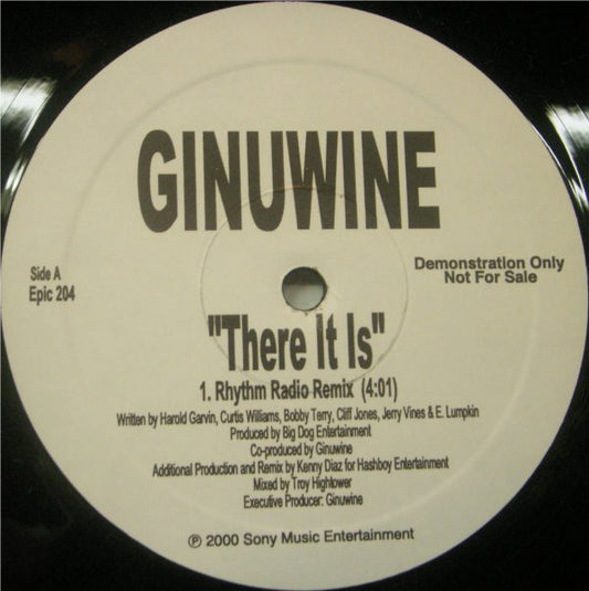 Ginuwine - There It Is (12", Promo)