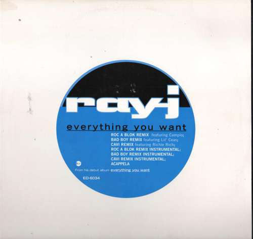 Ray J - Everything You Want (12", Promo)