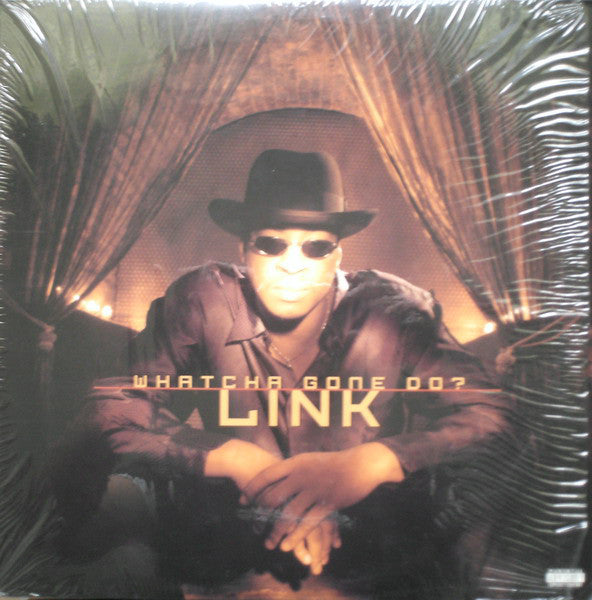 Link (3) - Whatcha Gone Do? (12")