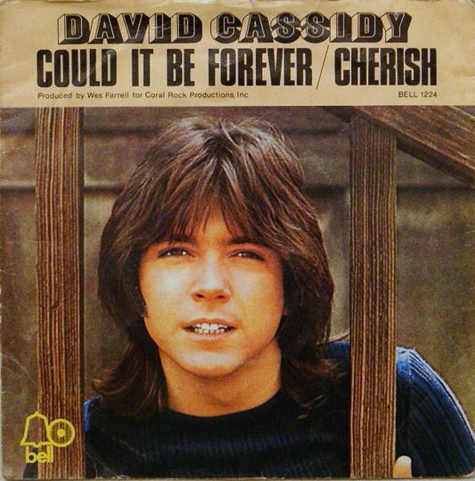 David Cassidy - Could It Be Forever / Cherish (7", Single, Sol)