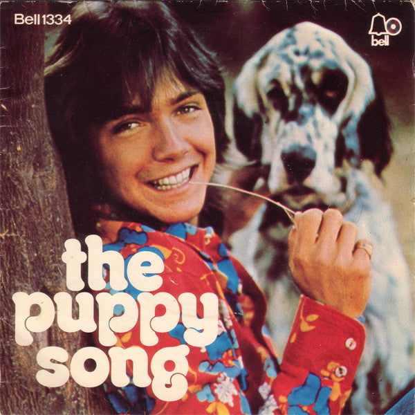 David Cassidy - Daydreamer / The Puppy Song (7", Single)