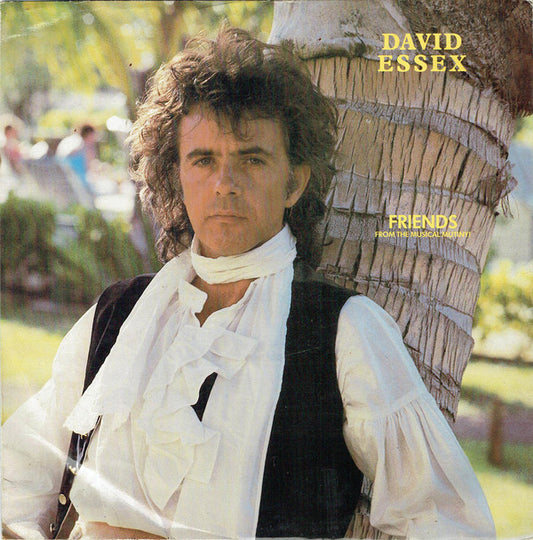 David Essex - Friends (12", Single)