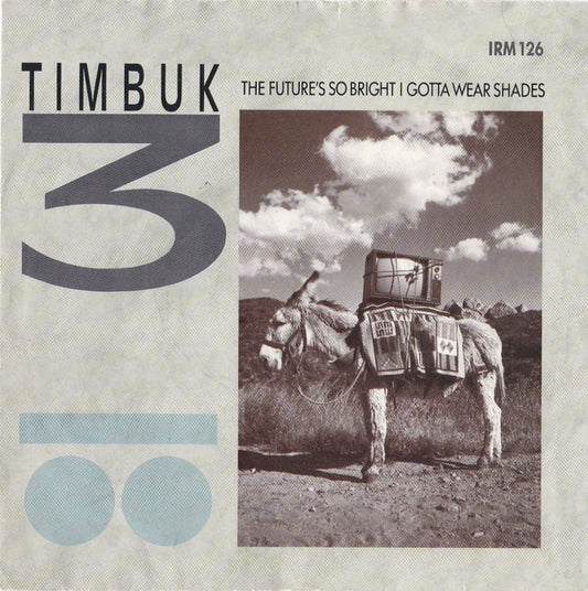 Timbuk 3 - The Future's So Bright I Gotta Wear Shades (7", Single, Sil)